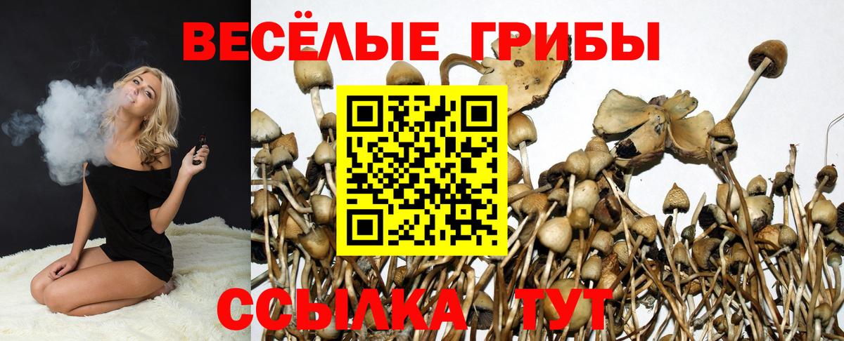 Красноармейск  Псилоцибиновые грибы Magic Shrooms  Вход с VPN 